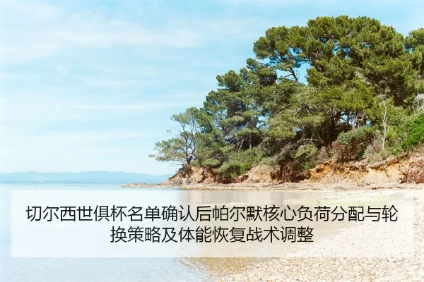 qie-er-xi-shi-ju-bei-ming-dan-que-ren-hou-pa-er-mo-he-xin-fu-he-fen-pei-yu-lun-huan-ce-lve-ji-ti-neng-hui-fu-zhan-shu-2-434.jpg