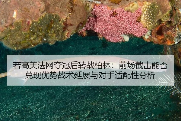 若高芙法网夺冠后转战柏林：前场截击能否兑现优势战术延展与对手适配性分析