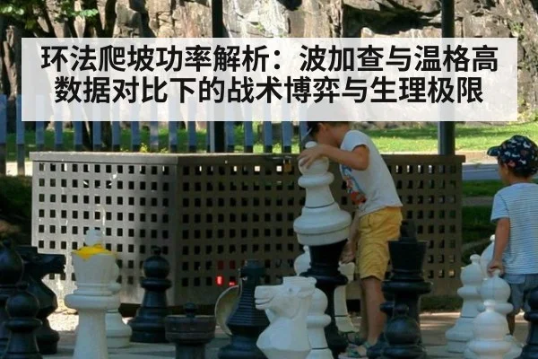 环法爬坡功率解析:波加查与温格高数据对比下的战术博弈与生理极限